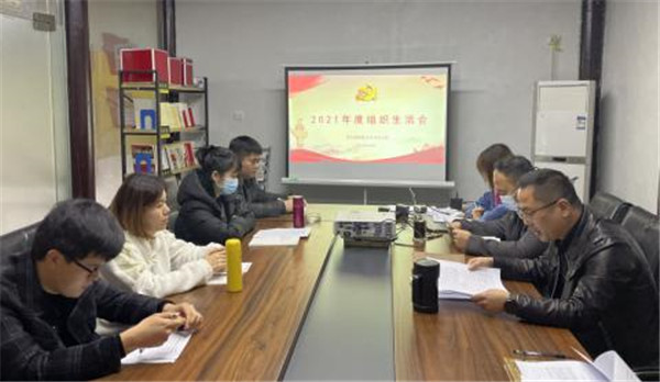 市古鎮(zhèn)投資公司各黨支部召開2021年度組織生活會